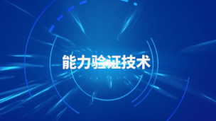 能力验证技术